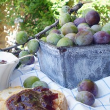 Marmellata di mirabelles