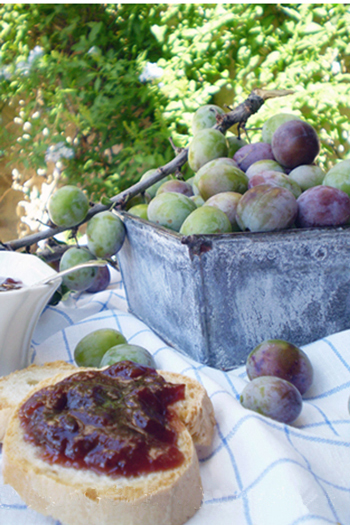 Marmellata di mirabelles