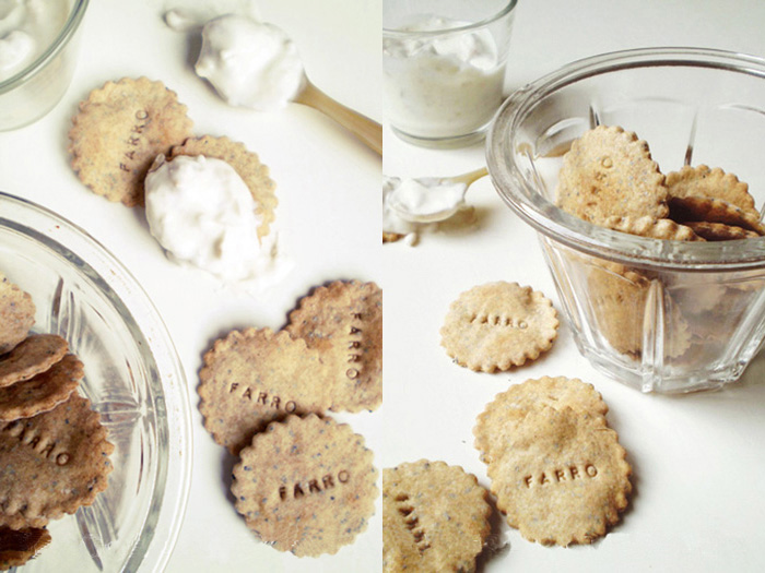 Crackers di farro ai semi di papavero