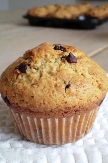 Muffins allo yogurt e cioccolato (ricetta)