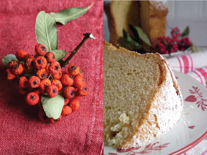 Panettoro o pandettone, di FRAGOLE A MERENDA