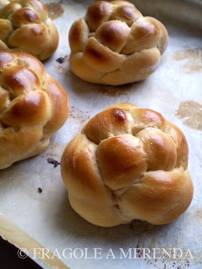 Kamelur Malto BIO Per Pane E Panini - Farina Di Malto D'Orzo  Enzimaticamente Attiva E Senza Additivi - Malto D'Orzo Leggero, Confezione  Biodegradabile