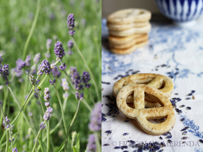 biscotti alla lavanda