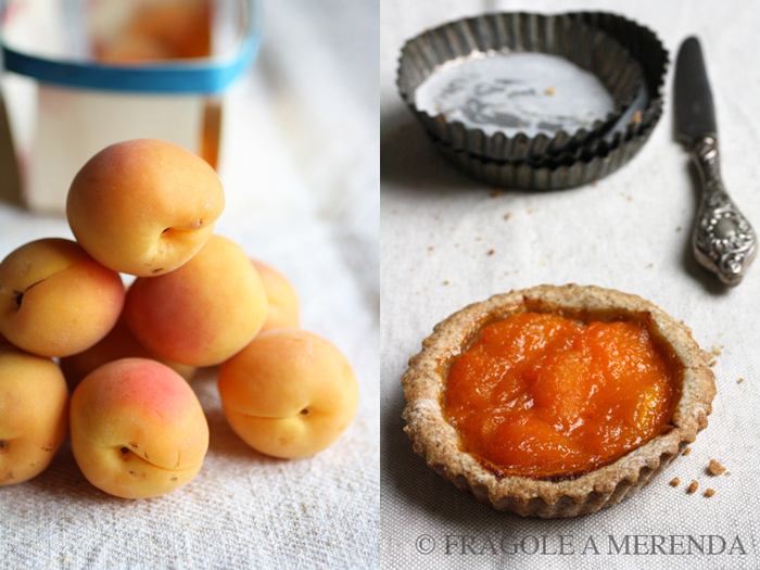 Crostata di segale con albicocche