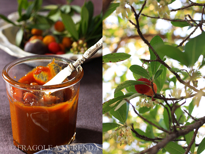 Marmellata di corbezzoli