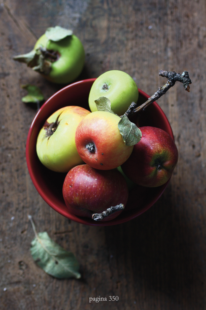 Fragole a merenda: il libro (una ciotola di mele)