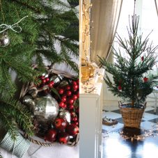 Finalmente Natale! libro di Sabrine d’Aubergine: Buon Natale